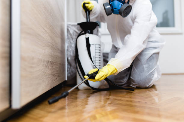 Best Ant Control Services  in Montara, CA