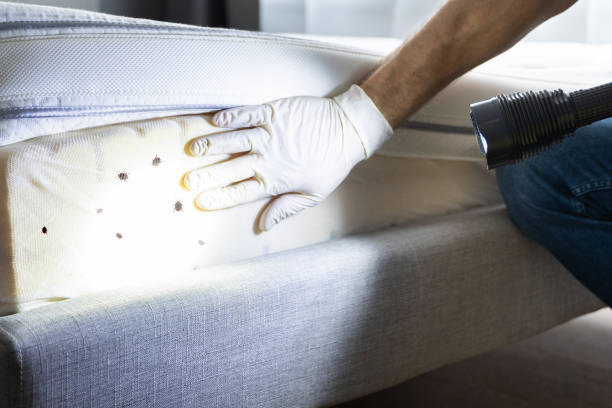 Best Commercial Pest Control Services  in Montara, CA